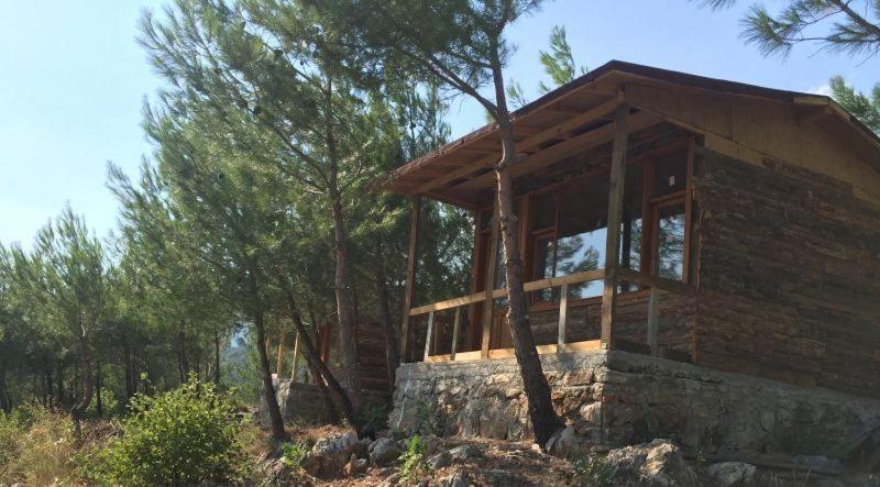 Ida Bay Bungalows Edremit  Esterno foto